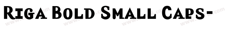 Riga Bold Small Caps字体转换 Riga Bold Small Caps字体转换